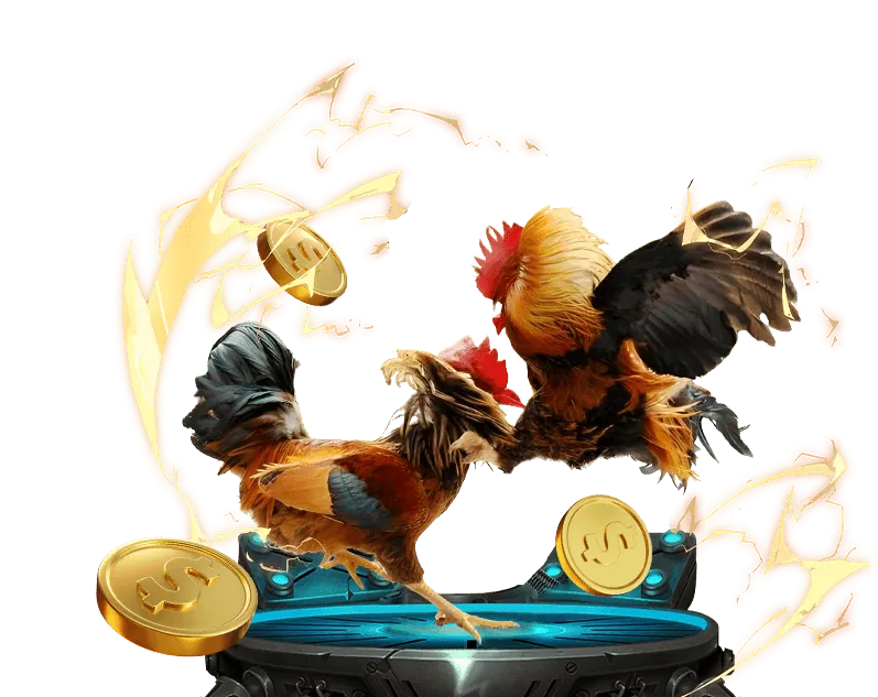 Đá Gà Campuchia Kịch Tính